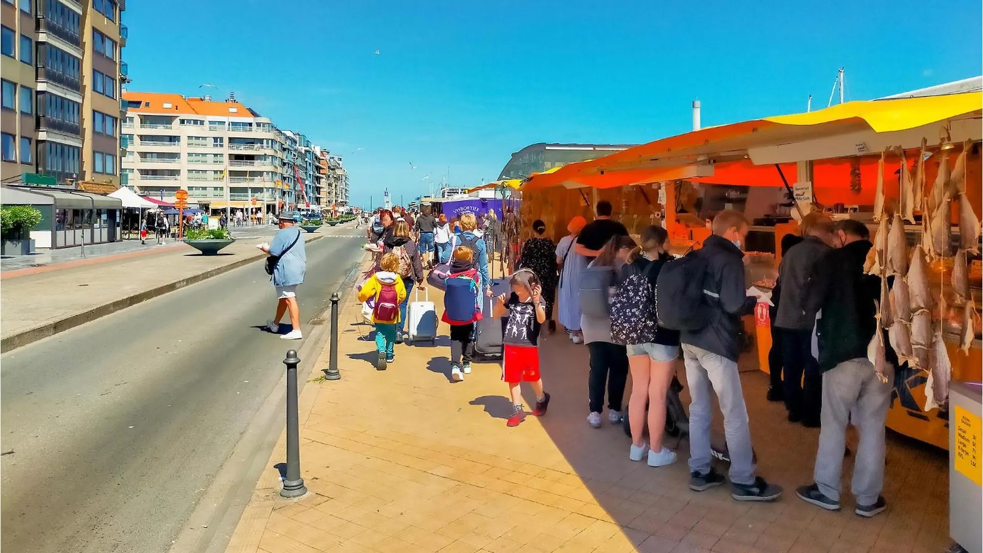 1 Bedroom Nice Apartment In Oostende Belgium